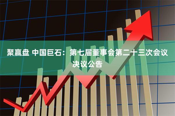聚赢盘 中国巨石：第七届董事会第二十三次会议决议公告
