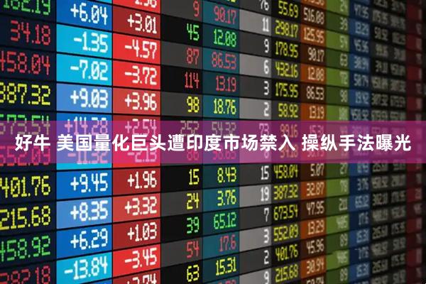 好牛 美国量化巨头遭印度市场禁入 操纵手法曝光