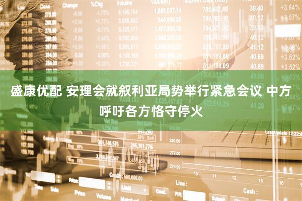 盛康优配 安理会就叙利亚局势举行紧急会议 中方呼吁各方恪守停火
