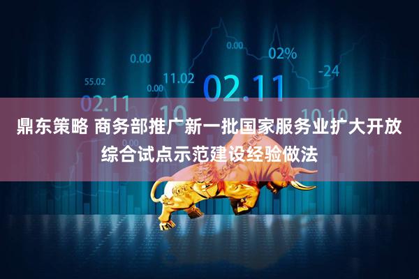 鼎东策略 商务部推广新一批国家服务业扩大开放综合试点示范建设经验做法