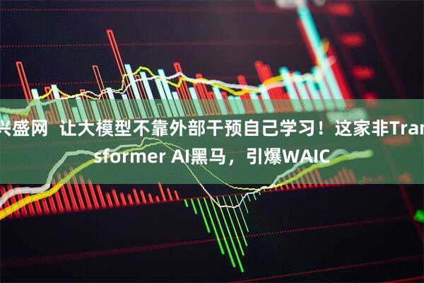 兴盛网  让大模型不靠外部干预自己学习！这家非Transformer AI黑马，引爆WAIC