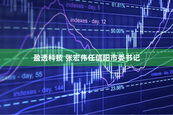 盈透科技 张宏伟任信阳市委书记