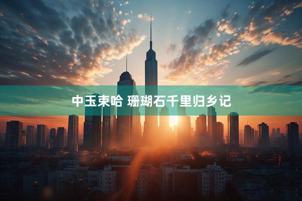 中玉束哈 珊瑚石千里归乡记