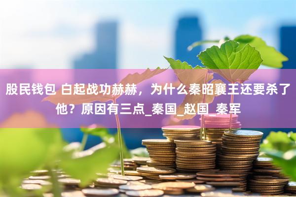 股民钱包 白起战功赫赫，为什么秦昭襄王还要杀了他？原因有三点_秦国_赵国_秦军