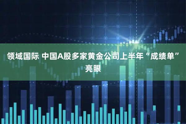 领域国际 中国A股多家黄金公司上半年“成绩单”亮眼
