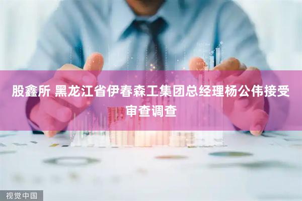股鑫所 黑龙江省伊春森工集团总经理杨公伟接受审查调查